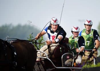 Équitation : Plateau de choix au Concours International d’Attelage