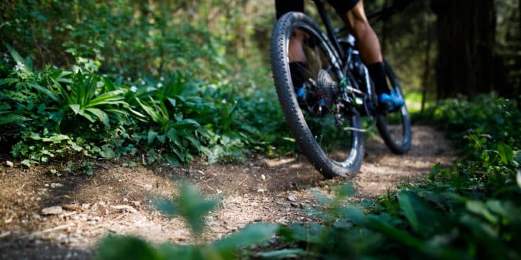 Le Cultu’Raid, une épreuve alliant sport et culture