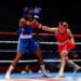 Boxe : Roland-Garros enfile les gants !