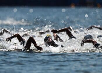 Natation : La Sèvre Niortaise dans le grand bain