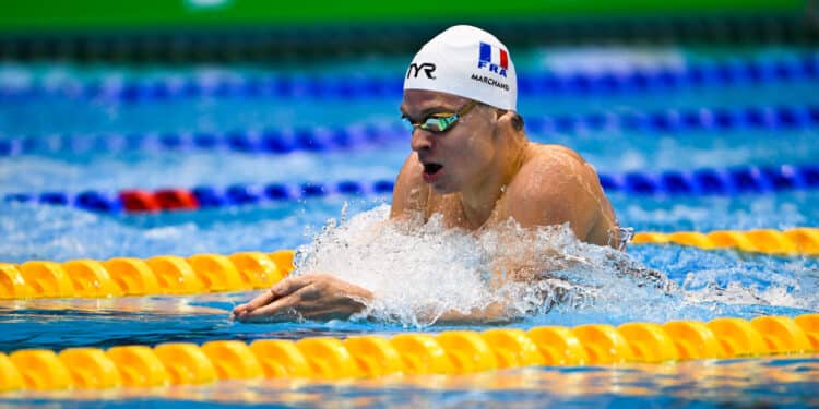 Natation : L’élite en piste à Chartres