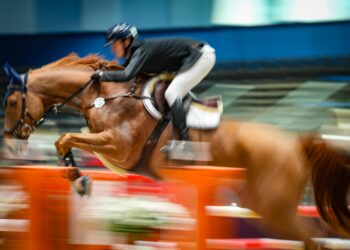 Équitation : Le Sunshine Vendée Tour se révèle