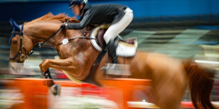 Équitation : Le Sunshine Vendée Tour se révèle