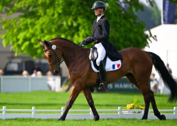 Équitation : La France truste les podiums au Mans