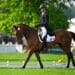Équitation : La France truste les podiums au Mans