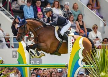 Équitation : Dinard, ultime étape avant les Jeux