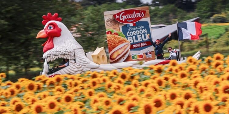 Caroline Bruon : « Le Gaulois a trouvé sa place sur le Tour de France »