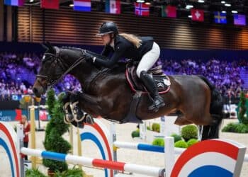 Équitation : Dinard, dernier arrêt avant Paris 2024