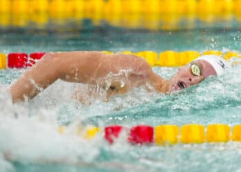 Paris 2024 : Moisson historique pour les nageurs ?