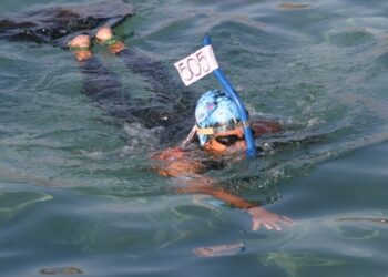 La nage avec palmes en vedette à Carry-le-Rouet