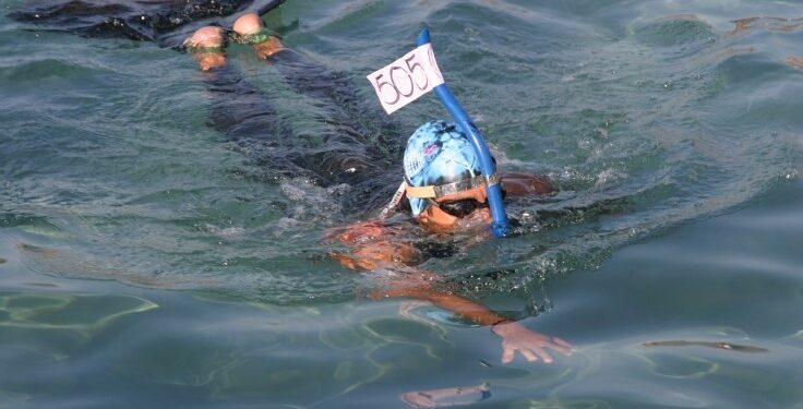 La nage avec palmes en vedette à Carry-le-Rouet