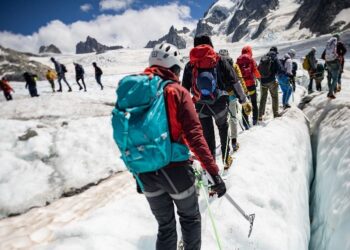 Sport For Future : Quand les athlètes s’engagent pour la planète