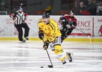 Hockey sur glace : La Ligue Magnus passe au vert