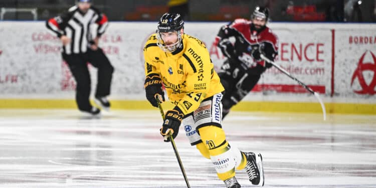 Hockey sur glace : La Ligue Magnus passe au vert