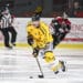 Hockey sur glace : La Ligue Magnus passe au vert