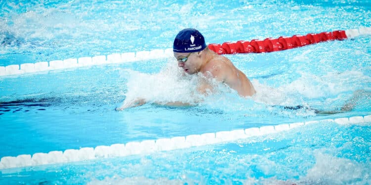 Dans le sillage de Léon Marchand, la natation bat des records