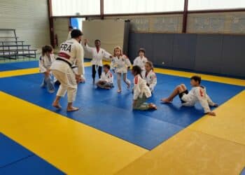 Judo : cap sur le tatami dans les Yvelines