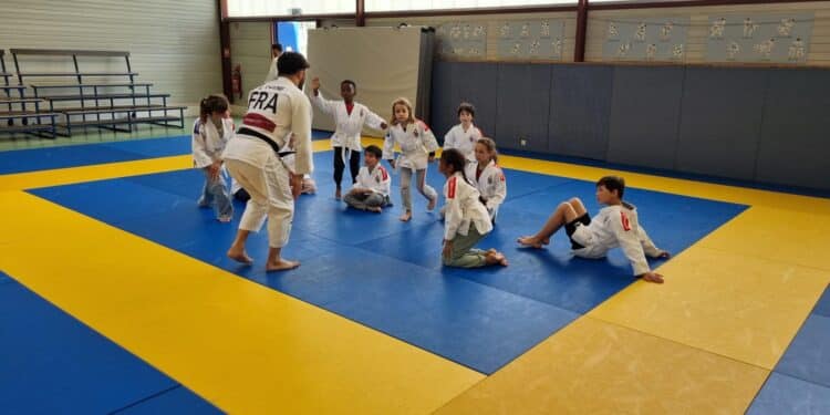 Judo : cap sur le tatami dans les Yvelines