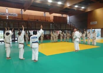 Judo : L’Essonne, ça cartonne !