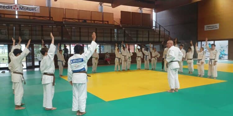 Judo : L’Essonne, ça cartonne !