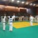 Judo : L’Essonne, ça cartonne !