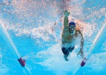 Natation : les héros de Paris replongent à Montpellier