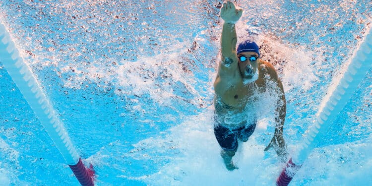 Natation : les héros de Paris replongent à Montpellier