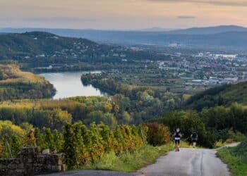 Trail : le Trail en Côte-Rôtie, concept unique en France