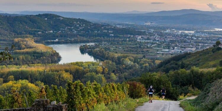 Trail : le Trail en Côte-Rôtie, concept unique en France