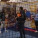 Homeball et Vholeball, deux sports déjantés
