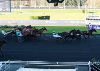Équitation : les Dimanche Plaisirs de retour à l’Hippodrome Paris-Vincennes