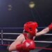 Boxe : revivez le choc Leila Meignan / Mariame Sidibé