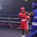 Boxe : revivez le choc Solana Ayivi / Tallya Brillaux