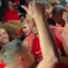 Coupe de France : l’Union Saint-Jean, Petit Poucet devenu grand
