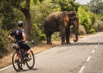 Axel Carion, au nom de l’amour de l’aventure