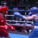 Boxe : revivez la finale Grosy / D’Antuono