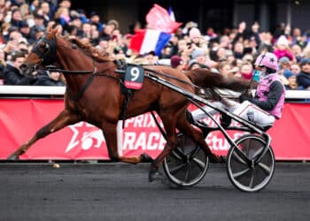 Équitation : un champion berrichon à la fête au Prix d’Amérique ?