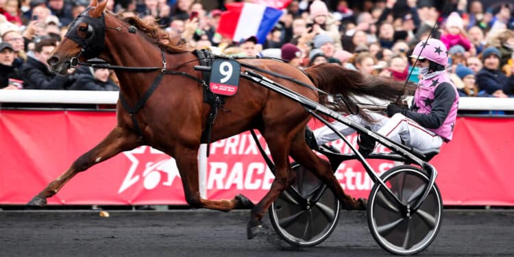 Équitation : un champion berrichon à la fête au Prix d’Amérique ?