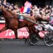 Équitation : un champion berrichon à la fête au Prix d’Amérique ?