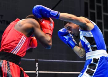 EN DIRECT : finales des championnats de France de boxe