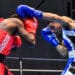 EN DIRECT : finales des championnats de France de boxe