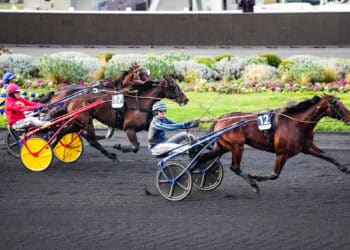 Les favoris des bookmakers au Prix d’Amérique 2025