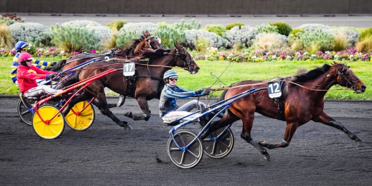 Les favoris des bookmakers au Prix d’Amérique 2025