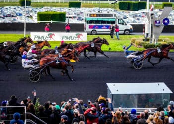 Équitation : Hooker Berry n’a pas conquis l’Amérique