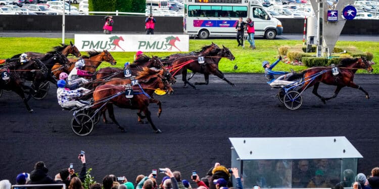 Équitation : Hooker Berry n’a pas conquis l’Amérique