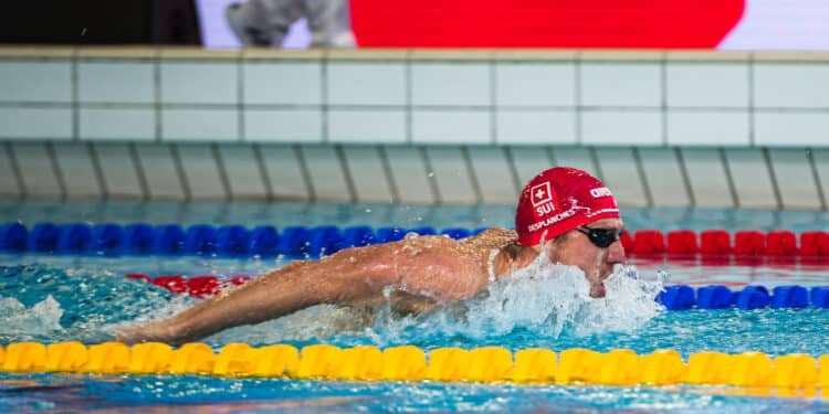 Giant Open : la natation de retour à Paris dans un cadre olympique