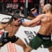 MMA : l’ARES Fighting Championship débarque à Nice