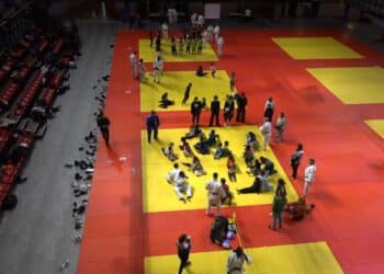 Roger Vachon : « Proposer l’inclusion par le biais du parasport »