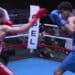 Boxe : revivez la finale Spica / Ettouir