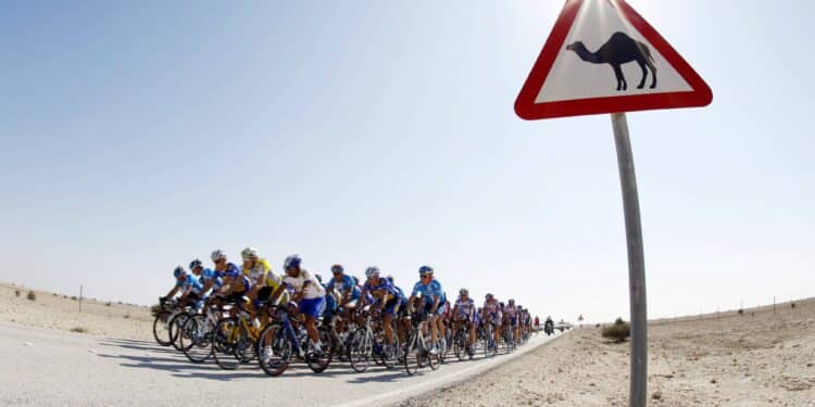 Cyclisme : Jais Ride, une ascension d’exception vers les sommets